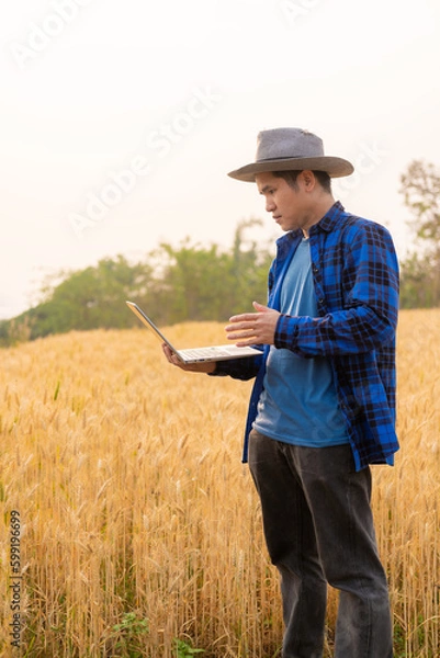 Fototapeta Smart asian farmer using modern digital technology using tablet in barley field A farmer monitors a grain field and sends data to the cloud from a tablet. farming concept