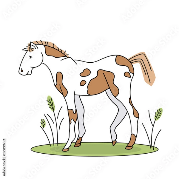 Fototapeta Vector color children's illustration with an outline of a cute horse with brown spots