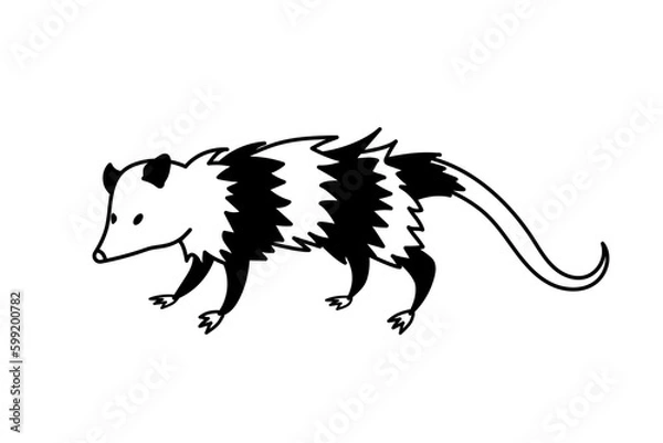 Fototapeta vector black and white illustration cartoon possum, tattoo sketch with a funny animal possum 