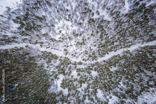 Fototapeta Aerial view of the road in the winter forest with high pine or spruce trees covered by snow. Driving in winter.