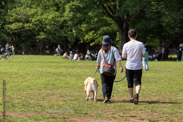 Fototapeta 公園で犬と散歩する男女