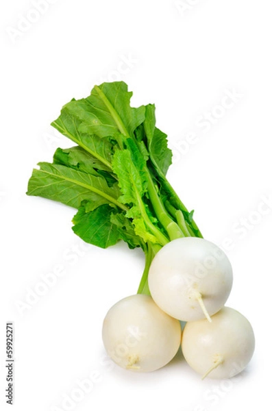 Fototapeta Turnip
