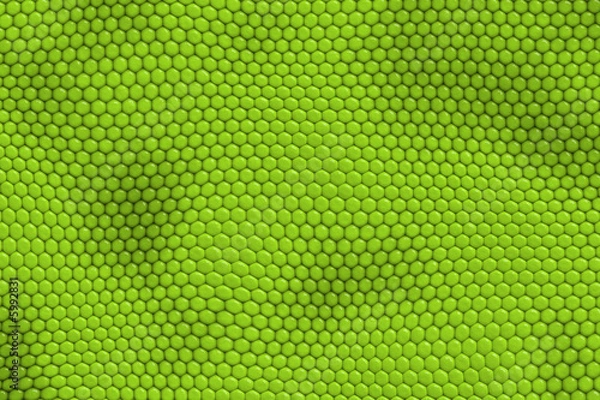 Fototapeta abstract green background