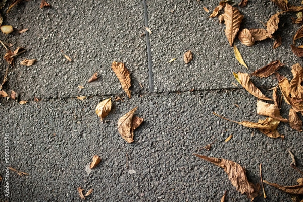 Obraz Aesthetic Autumn Ground Background