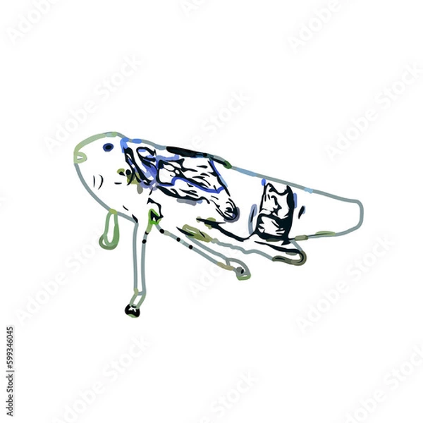 Fototapeta color sketch of an insect type with transparent background