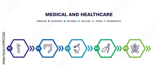 Fototapeta set of medical and healthcare thin line icons. medical and healthcare outline icons with infographic template. linear icons such as medical hammer tool, colon, microscope tool, gallbladder, p