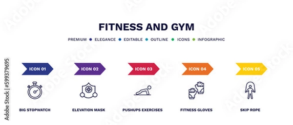 Fototapeta set of fitness and gym thin line icons. fitness and gym outline icons with infographic template. linear icons such as big stopwatch, elevation mask, pushups exercises, fitness gloves, skip rope