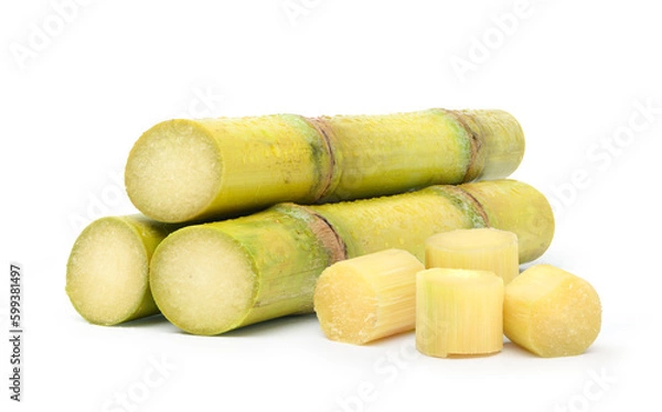 Obraz Fresh sugar cane isolated on white background.