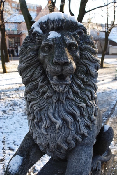 Obraz lion on the roof