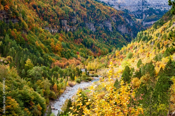 Obraz Ordesa canyon forest in autumn with river. Ordesa and Monte Perdido National Park, Aragon, Spain.