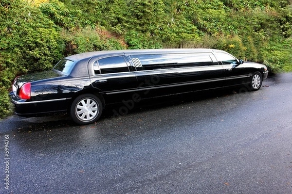 Obraz limousine