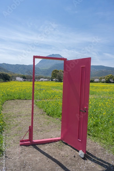 Fototapeta しまばら火張山花公園 - 旧しまばら芝桜公園