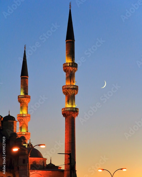Fototapeta mosque at night