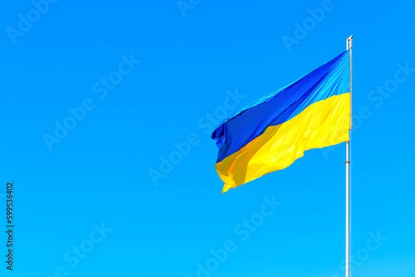 Fototapeta Ukrainian National Flag in Blue Sky
