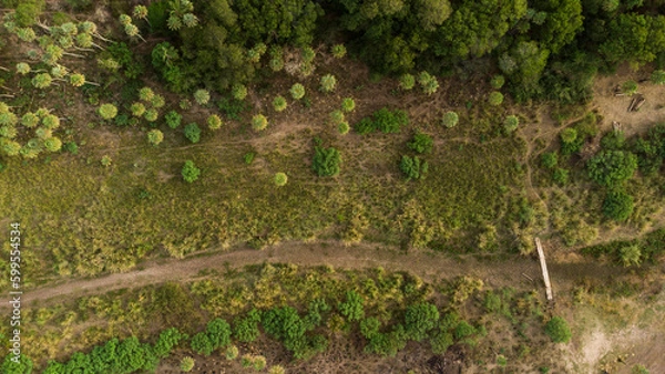 Obraz Naturaleza de acá