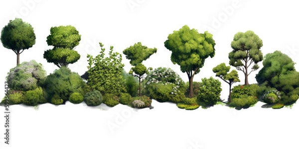 Obraz shrubs vector for architectural render, isolated background cutout