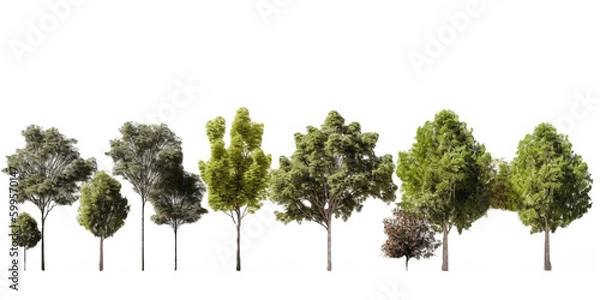Obraz trees vector for architectural render on transparent cutout 