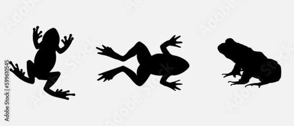 Fototapeta isolated black silhouette of a frog , vector collection