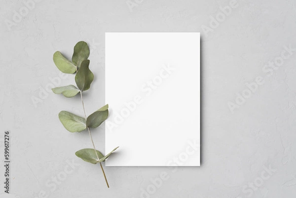 Fototapeta Top view blank invitation card mockup with dry eucalyptus twig decoration on grey background
