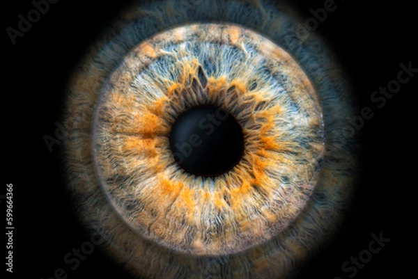 Fototapeta spectacular close-up (macro photo) of the iris of a two-colored eye, ideal for background or texture