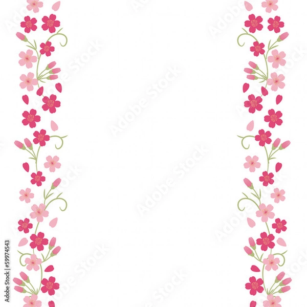 Fototapeta 桜　背景