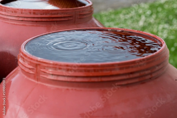 Obraz Rain is falling into a red barrel filled with water in the garden. Rainwater collection for irrigation. No waste of water. Drought problem in 2023.