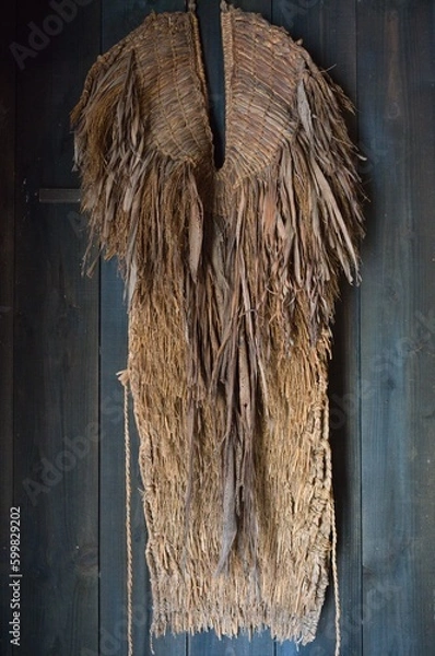 Fototapeta 世界遺産飛騨白川郷の春