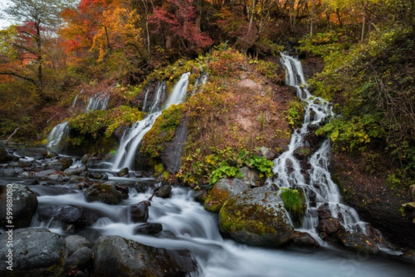Obraz 八ヶ岳山麓の滝と紅葉