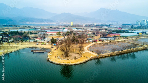 Obraz tree of river side