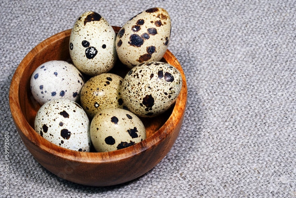 Fototapeta Quail eggs in a round wooden bowl on canvas, close-up, macro. Eggshell stains. Spotted pattern on the eggs. Dietary healthy foods. Egg