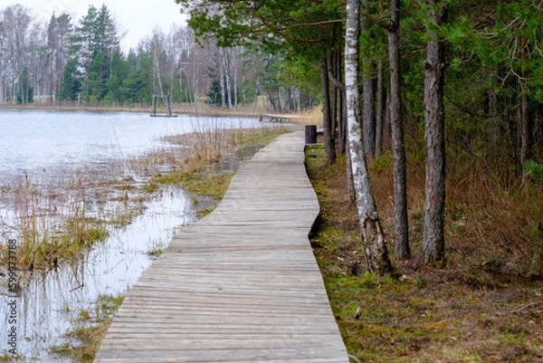 Fototapeta Wooden path along the shore of the lake, plank deck, modern landscape design, recreation area by the water