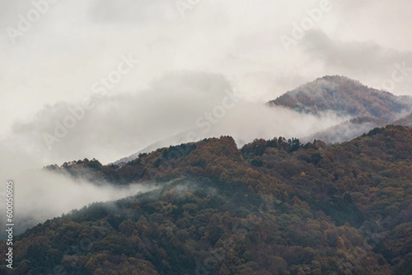Fototapeta 山と霧