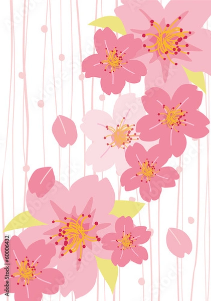 Fototapeta 桜_春_白