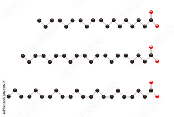 Obraz Omega3 vectors