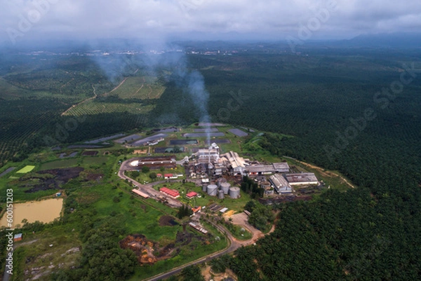Fototapeta Aerial view of Palm Oil Processing Mill in Operation