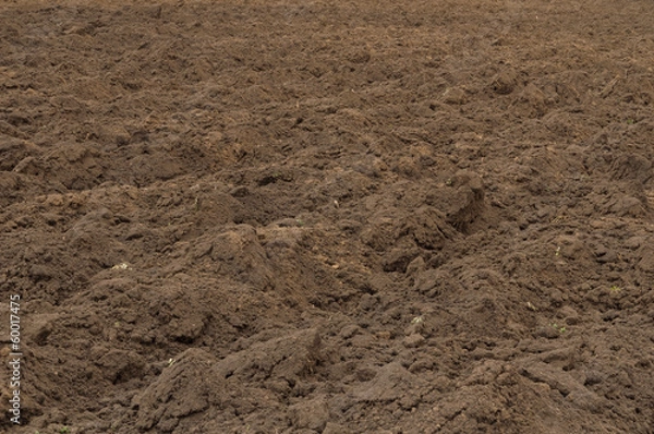 Fototapeta Ploughed field in late autumn