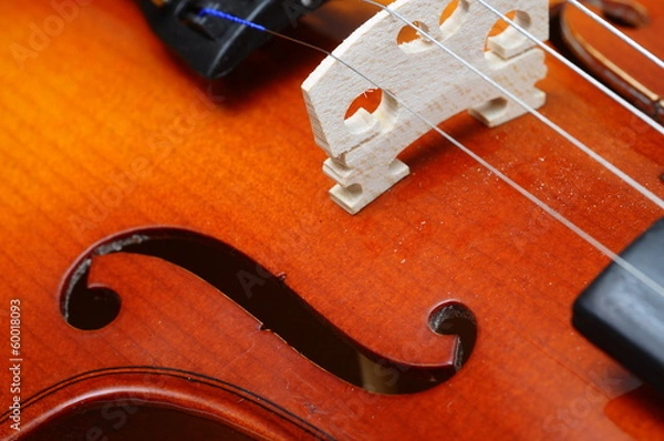 Obraz Close up of violin