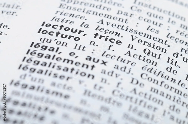Obraz French Dictionary at the word Reading