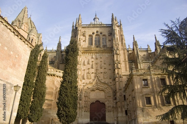 Obraz Patio Chico Catedral de Salamanca