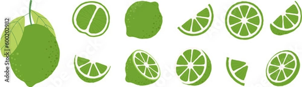 Fototapeta Green limes, sour lime isolated clipart. Cut and half citrus, mojito sliced ingredients. Vitamin fresh foog graphic, vector fruits elements