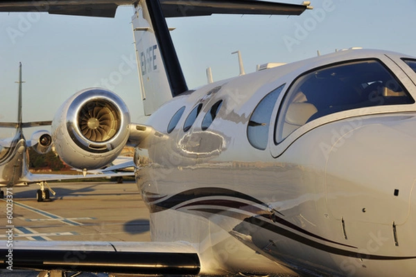 Obraz On the right wing