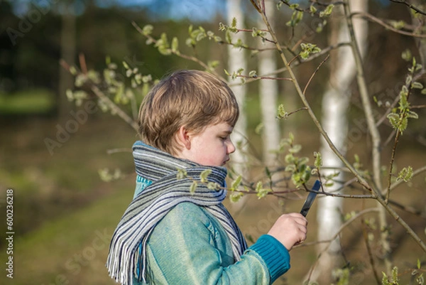 Fototapeta A funny boy walks through the spring park, examines the leaves with a large magnifying glass, looks for bugs and enjoys.