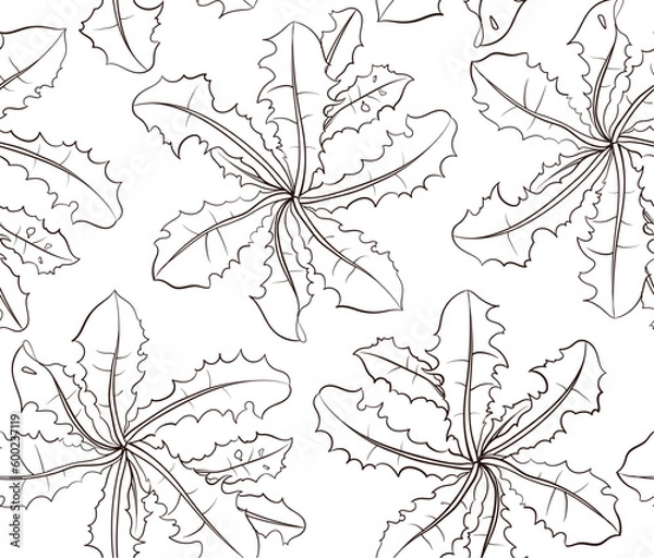 Fototapeta Hand drawn  Dandelion leaves drawn as a seamless pattern in a pencil