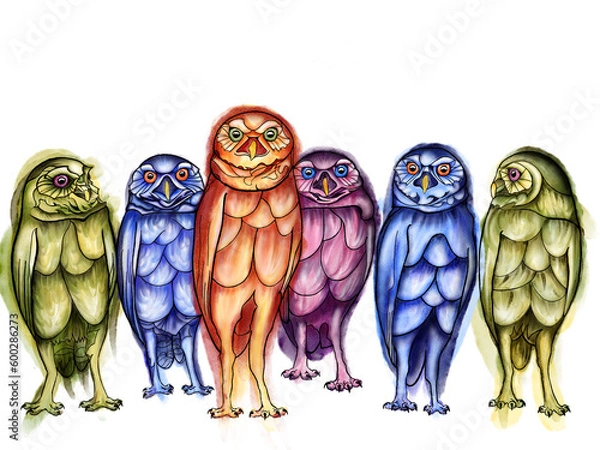 Obraz Five bird color