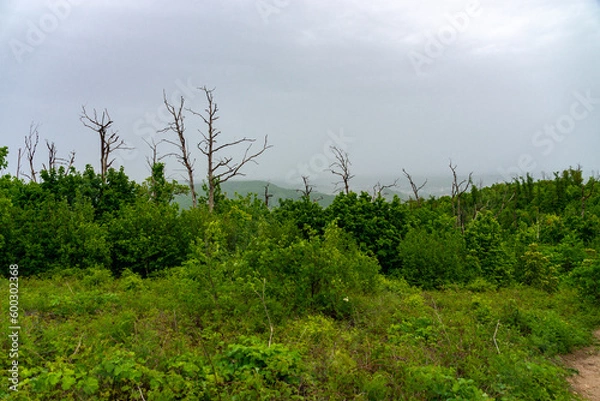 Fototapeta A beautiful view from the top of the Zhigulyov Mountains!
