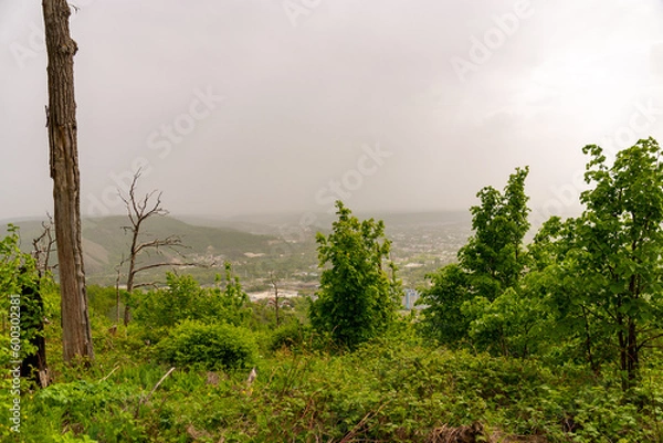 Fototapeta A beautiful view from the top of the Zhigulyov Mountains!