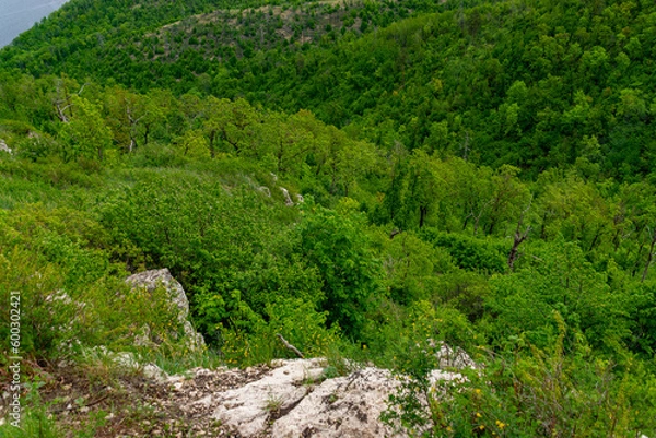 Fototapeta A beautiful view from the top of the Zhigulyov Mountains!