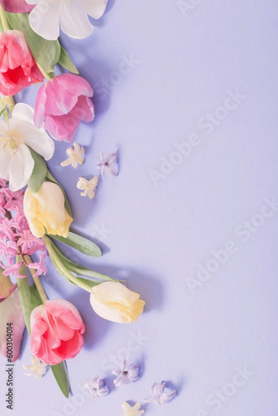 Obraz multicolored spring flowers on  purple background