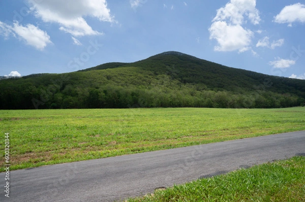 Obraz road