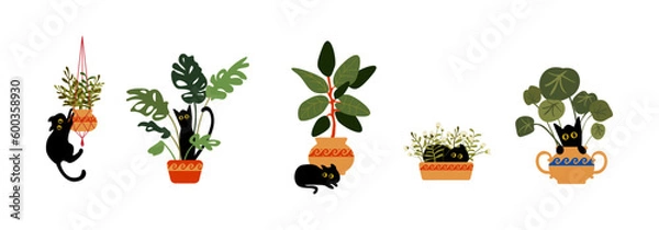 Fototapeta Set cartoon black cat in a pot with houseplants. Funny pets vector scene. A cheerful cat hides behind a flower pot, hooligans, jumps on plants.